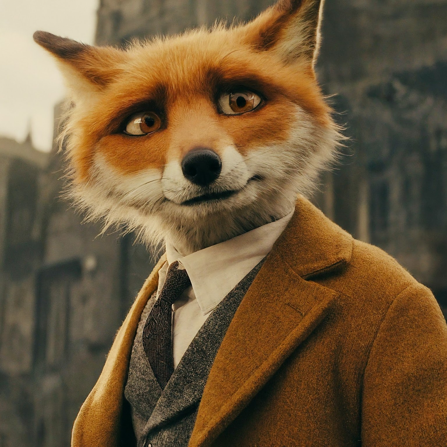 Mr. Fox